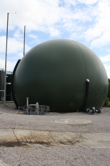 Geothermal Energy For Biogas Production